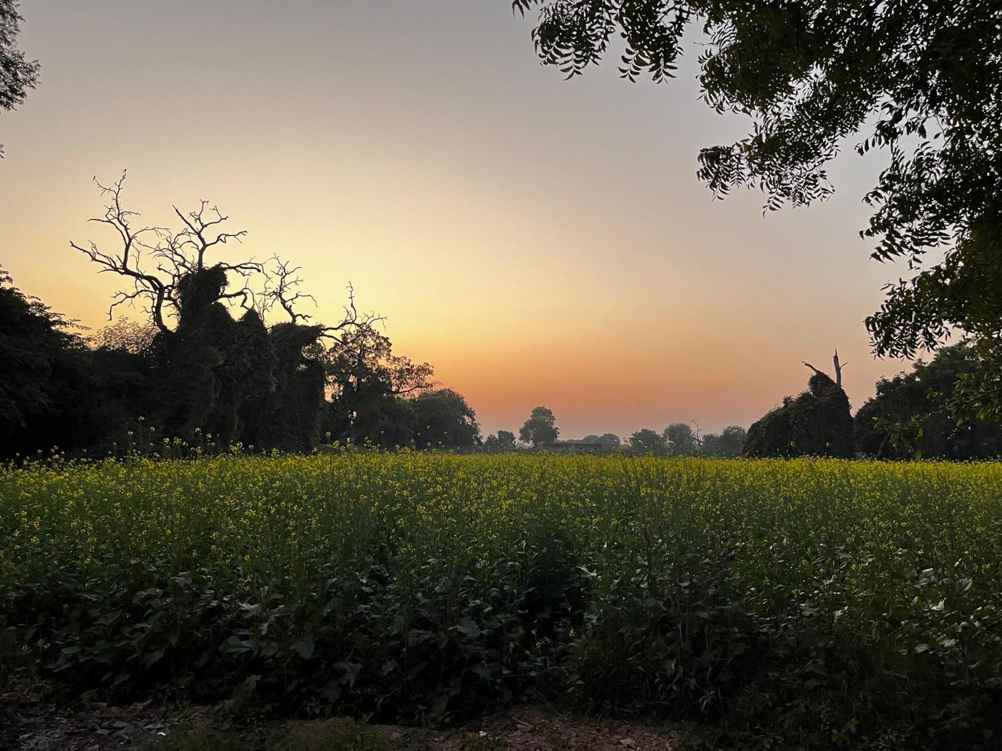 Sharad Baug Homestay 普杰 外观 照片