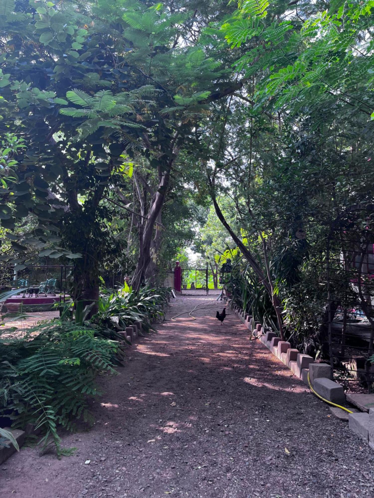 Sharad Baug Homestay 普杰 外观 照片