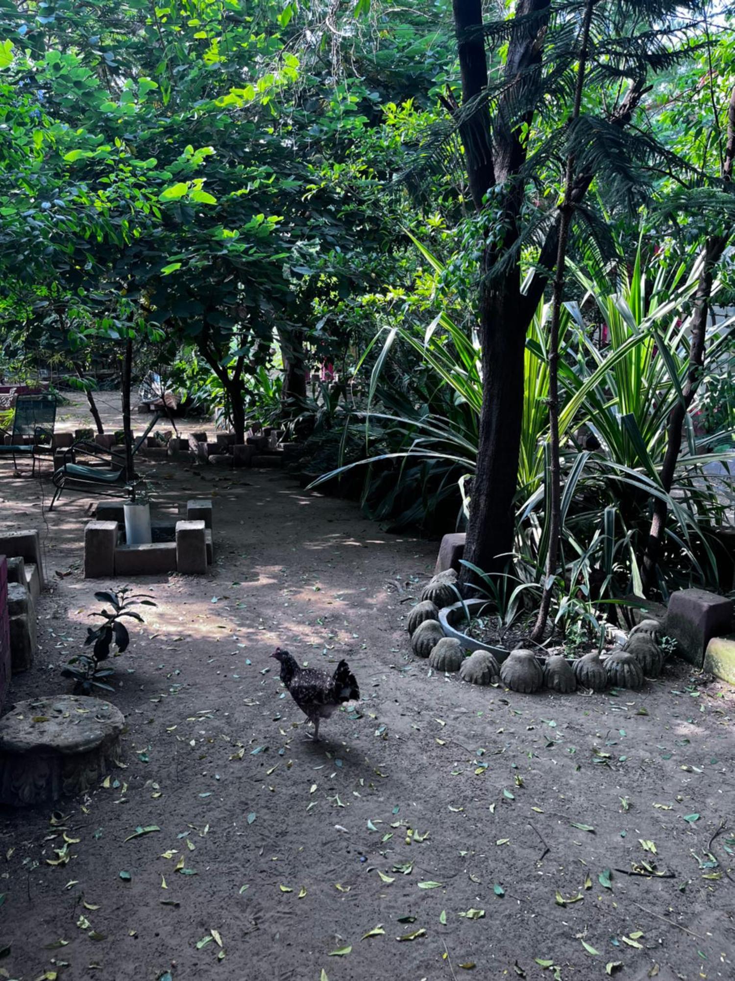 Sharad Baug Homestay 普杰 外观 照片